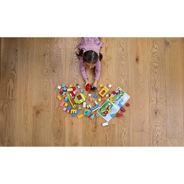 10914 Дупло Большая коробка с кубиками