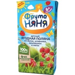 Сок Фруто Няня смесь фруктов и ягод с экстрактом мяты 0,2, т/п