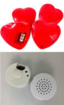 3 Сердце+записывающее устройство