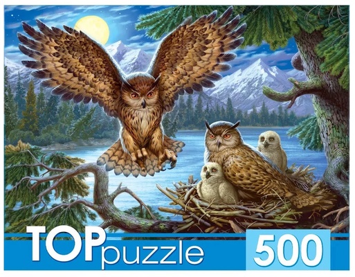 Пазлы 500 эл. "Ночные совы"