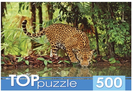 Пазлы 500 эл. "Ягуар на водопое"