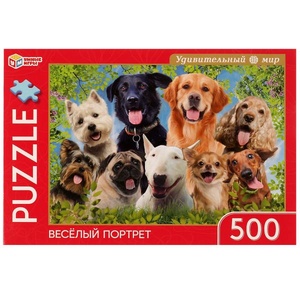 Пазлы 500Д "Весёлый портрет"