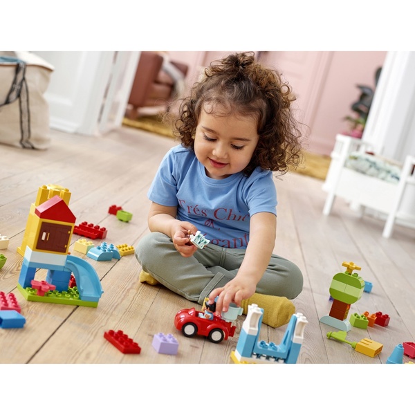 10914 Дупло Большая коробка с кубиками